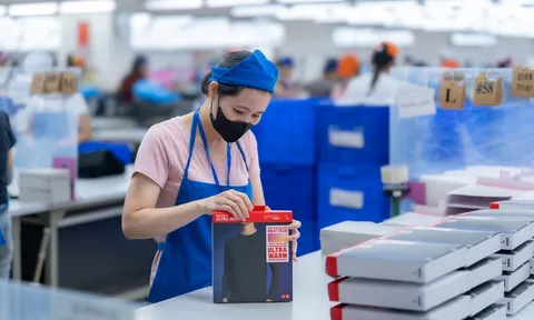 Từ sản xuất đến cửa hàng bán lẻ, UNIQLO mở rộng kết nối với Thanh Hóa