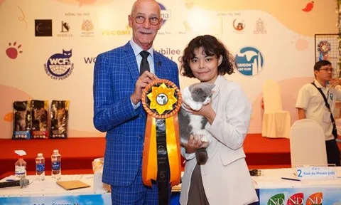 Mèo tranh tài nhan sắc tại Coral Jubilee – WCF International Cat Show 2023