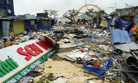 Thông tin Trường Đại học Mở TP.HCM hỗ trợ sinh viên bị ảnh hưởng bởi bão Yagi và lũ lụt