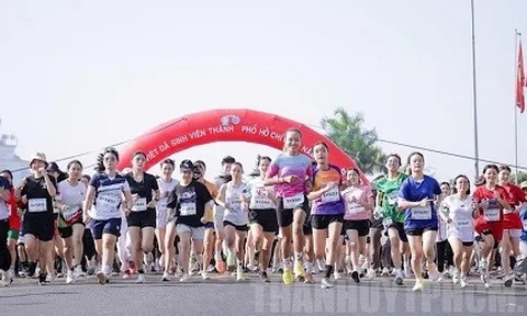 Sôi nổi các hoạt động tại “Ngày hội Tân sinh viên 2024”