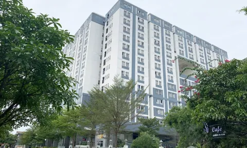 TP.HCM phạt 8 doanh nghiệp địa ốc 2,64 tỷ đồng