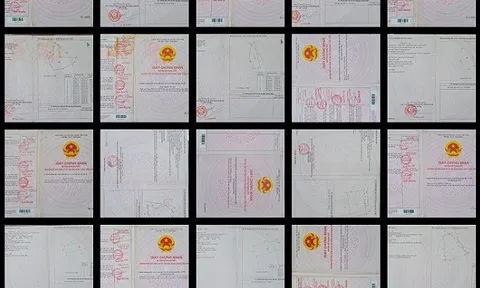 Đồng Nai: Gia đình và người thân Bí thư huyện Long Thành đã mua hơn chục hecta đất thuộc dự án đã có thông báo thu hồi đất