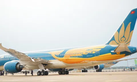 Nguyên nhân Vietnam Airlines sơn hình chim Lạc lên "Giấc mơ bay" Dreamliner