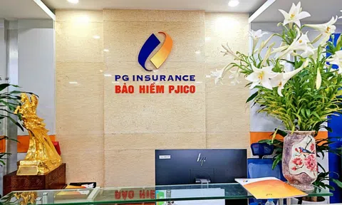 Tổng Giám đốc PJICO bị miễn nhiệm