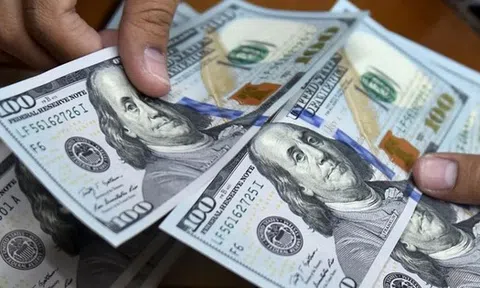 Tỷ giá USD chịu thêm áp lực từ động thái mới của Kho bạc Nhà nước