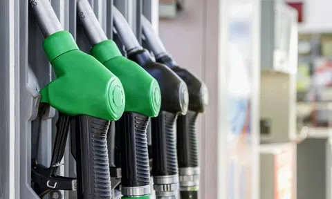 Xe bạn có "hợp" xăng sinh học E10? Cách nhận biết nhanh và chính xác