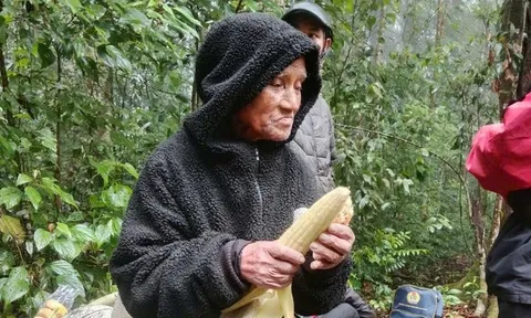 Phép màu giữa rừng già: Cụ ông 78 tuổi mất tích 6 ngày được tìm thấy còn sống