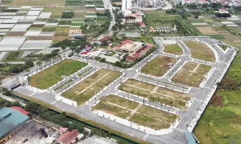 Nâng mức cọc lên 50% khi đấu giá đất: Có chặn được trục lợi?