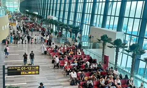 Cục Hàng không yêu cầu rà soát quy trình kiểm tra hành lý xách tay