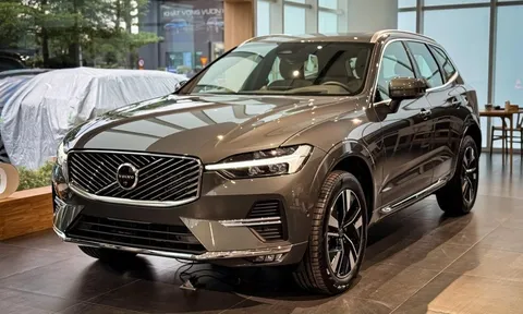 Loạt xe hybrid cắm sạc ra mắt khách Việt, có mẫu đi thuần điện tới 200km