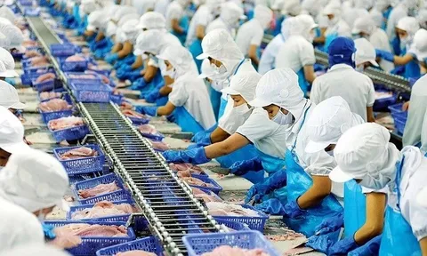 Doanh nghiệp nông sản đồng loạt kiến nghị về thuế giá trị gia tăng