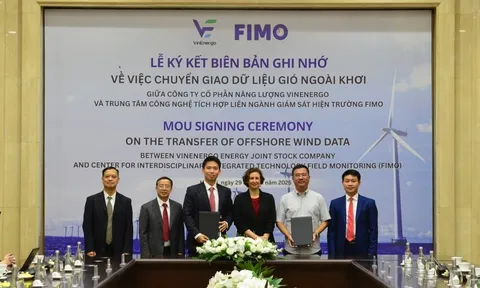 VinEnergo của tỷ phú Phạm Nhật Vượng có "tướng" mới: Là người cũ của VinaCapital