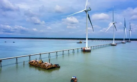 EVN khởi công, khánh thành 18 công trình dịp 19/12