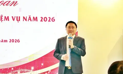 Chi hội Luật gia The Light: Dấu ấn một năm khẳng định bản lĩnh và trách nhiệm xã hội