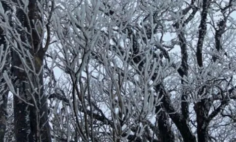 Dự báo thời tiết 27/1: Miền Bắc tiếp tục rét đậm, mưa phùn, vùng núi cao có khả năng xảy ra băng giá