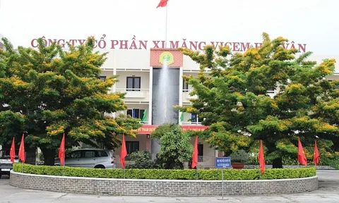 Xi măng Vicem Hải Vân thua lỗ 3 năm liên tiếp, cổ phiếu HVX bị hủy niêm yết