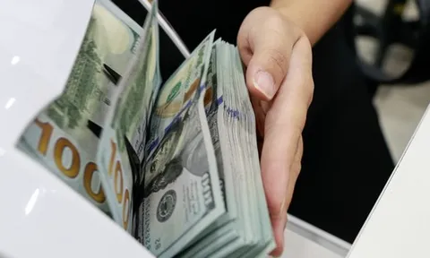 Giá USD tại Việt Nam bất ngờ giảm mạnh