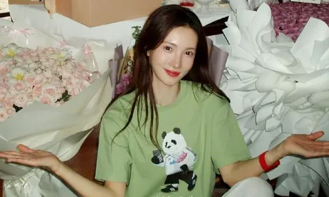 Nữ diễn viên nổi tiếng bị tố gây tai nạn giao thông rồi bỏ trốn