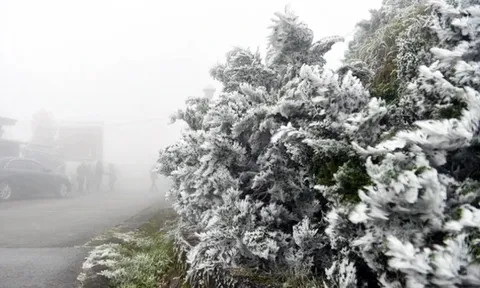 Dự báo thời tiết 31/1: Miền Bắc đón đợt không khí lạnh cường độ cực mạnh, nơi rét nhất bao nhiêu độ?