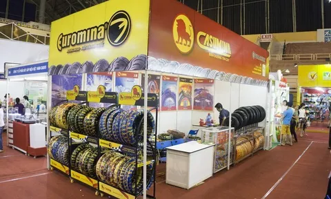 Quý IV lao dốc, Casumina không hoàn thành mục tiêu lợi nhuận năm 2025