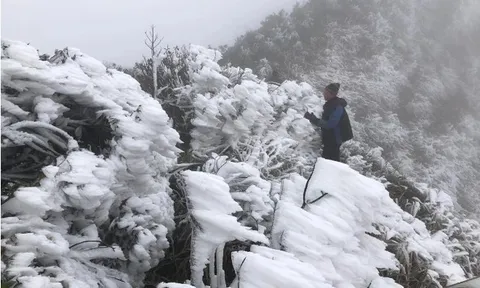 Tin gió mùa Đông Bắc mới nhất: Miền Bắc sắp đón đợt rét đậm dưới 3 độ C, nguy cơ xảy ra băng giá