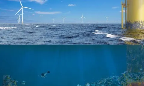 Khi trang trại điện gió ngoài khơi không chỉ tạo ra điện