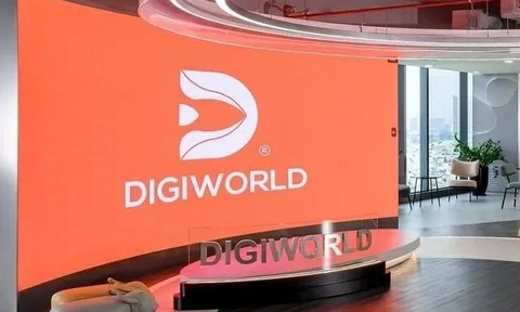 Rót gần 800 tỷ mua HPG, TCB, VPB tạm lỗ 90 tỷ, lãnh đạo Digiworld (DGW) nói gì?