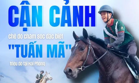 Cận cảnh chế độ chăm sóc đặc biệt "tuấn mã" triệu đô tại Hải Phòng