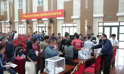 Đấu giá đất ở Hà Nội: Có lô cao gấp 10-13 lần giá khởi điểm