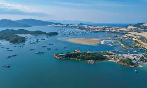 Thông tin xây cầu vượt biển qua vịnh Vân Phong là sai