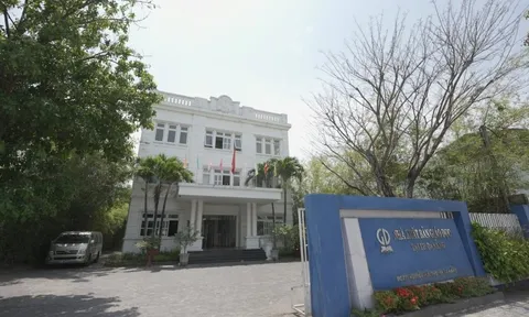 Một công ty chốt ngày trả cổ tức tiền mặt tỷ lệ 12%