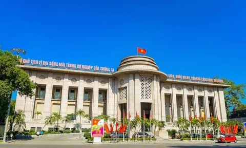 Lãi suất liên ngân hàng tiếp tục giảm mạnh trên diện rộng, NHNN hút ròng thanh khoản