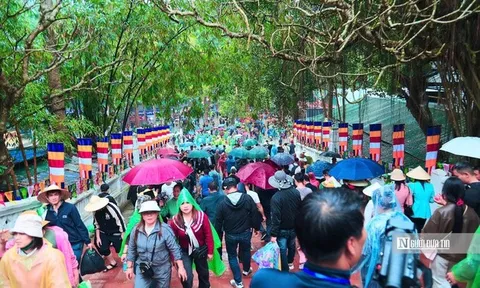Hàng ngàn du khách đội mưa đổ về chùa Hương ngày khai hội