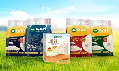 Đại gia Trương Sỹ Bá sắp đưa thêm công ty gạo 650 tỷ lên sàn, hệ sinh thái thêm đông vui