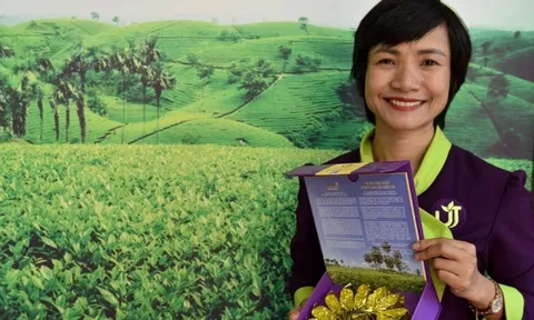 Hồi sinh loại cây từng bị đốn làm củi, chứa 'chất quý' gấp 135 lần bình thường, nữ giám đốc thu hơn 1 tỷ đồng/tấn