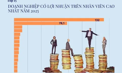 Nhân viên của tỷ phú Phạm Nhật Vượng đem về hơn 130 tỷ đồng lợi nhuận mỗi người, vượt mặt hàng loạt CTCK, bất động sản