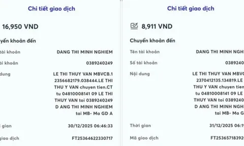 Người phụ nữ chuyên quỵt tiền của đối tác bằng chiêu 'chuyển khoản thiếu 3 số 0'