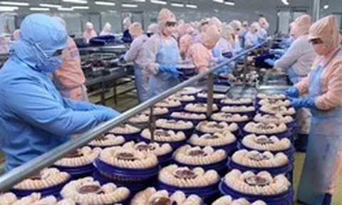 Lãi kỷ lục 2025, một công ty chốt ngày chi trả cổ tức tiền mặt 30%