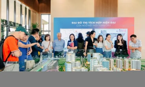 Khi người mua nhà tìm nơi để sống thay vì tài sản đầu cơ