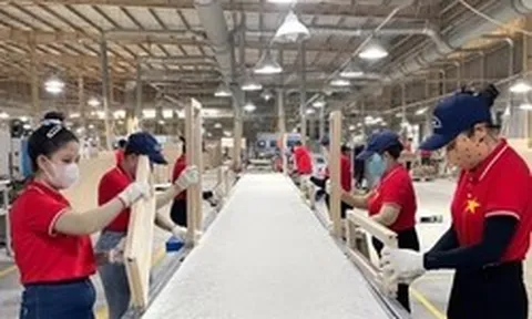 Doanh nghiệp 'khát' lao động, đãi ngộ tốt vẫn không ăn thua