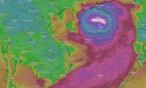 Hơn 9,3 triệu người nhận tin nhắn phòng chống siêu bão Yagi qua Zalo