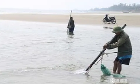 Cận cảnh nhọc nhằn nghề khom lưng trong sóng biển kiếm ngao mưu sinh