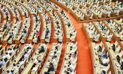 500 người trúng cử đại biểu Quốc hội khóa XVI có đủ tư cách đại biểu