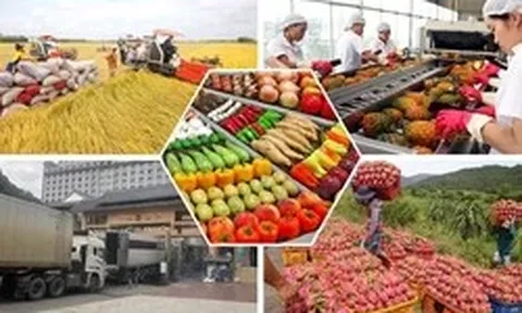 Đề nghị sớm triển khai gói tín dụng 150.000 tỷ đồng hỗ trợ sản xuất