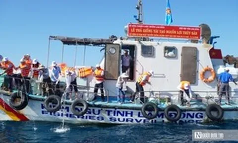 Thả 1,4 triệu con giống từ biển Hòn Cau đến hồ Tà Đùng, chung tay “hồi sinh” nguồn lợi thủy sản