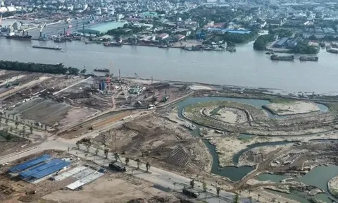 Vingroup trúng đấu giá khu đất gần 50 ha tại đảo Vũ Yên, Hải Phòng