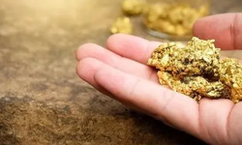 Công ty đào vàng số 1 Việt Nam báo lợi nhuận kỷ lục, kiểm toán nhấn mạnh một rủi ro