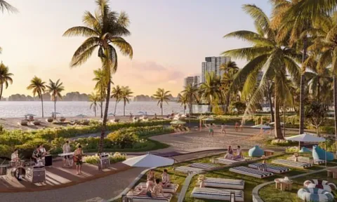 The Spotlight Collection - vị thế 'tâm điểm' khơi mở đầu tư bền vững