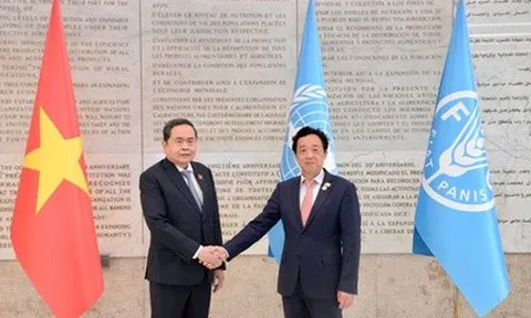 Đề nghị FAO hỗ trợ Việt Nam trong quá trình cơ cấu lại ngành nông nghiệp