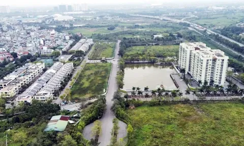 Chủ dự án 88 Central bỏ rơi quyền lợi khách hàng?